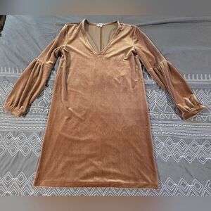 Madewell Velvet Balloon Sleeve Dress In Burnt Sienna Size XS